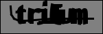 متن برای شناسایی