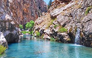 صورة مصغّرة