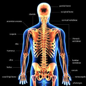 صورة مصغّرة