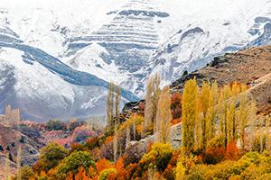 صورة مصغّرة