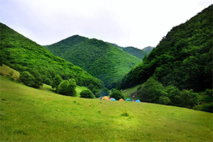 Walking-Arasbaran Forest