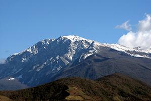 صورة مصغّرة