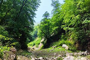 صورة مصغّرة