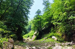 صورة مصغّرة